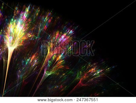 Fractal Flowers Isolated On Black  - Fractal Art