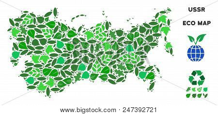 Eco Ussr Map Collage Of Herbal Leaves In Green Color Tinges. Ecological Environment Vector Template.
