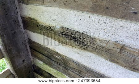 Close-up Of Decayed Hand Hewed Log Set In Cabin Wall