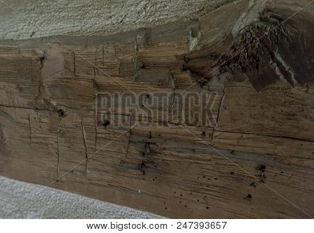 Close-up Of Hand Hewed Log With Knot And Ax Marks Set In Wall Of Log Cabin