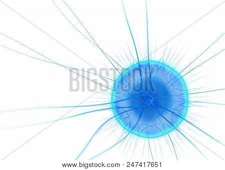 Fractal  Cilia Germ Cell - Fractal Art