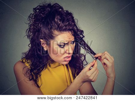 Unhappy Upset Frustrated Young Woman Surprised She Is Losing Hair, Noticed Split Ends. Gray Backgrou