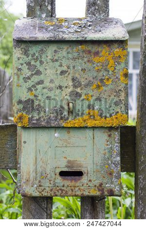 Old Green Mailbox Covered With Moss And Lichen.
