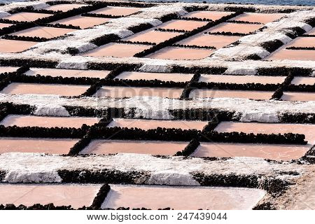 Picture Photo Of Salt Flats In The Canry Islands