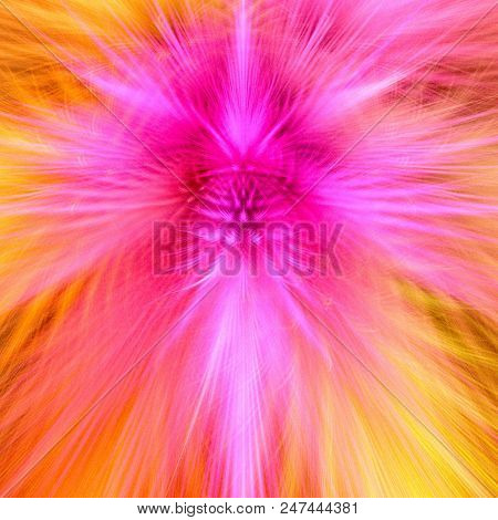Abstract Fractal Pinnate  Background - Fractal Art