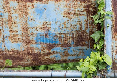 Blue Metal Background With Some Green Leaves