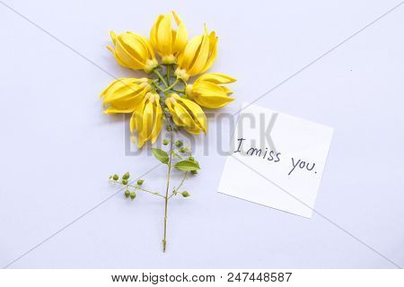 I Miss You Message Card With Ylang Ylang Flower Arrangement On Background White