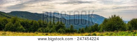 Panorama Of Carpathian Mountains In Summer. Beautiful Landscape With Forested Hills And Apetska Moun