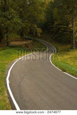 Camino al bosque