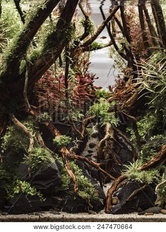 Aqua Scape Nature Aquarium Plant And Fish Tank, Filter Effect