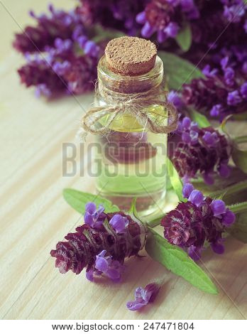 Medicinal Herb. Common Self Heal (prunella Vulgaris) Scented Oil
