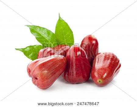 Rose Apples Or Chomphu Isolated On White Background