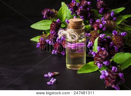 Medicinal Herb. Common Self Heal (prunella Vulgaris) Scented Oil.