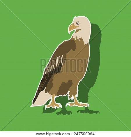 Paper Sticker On Theme Of Andorra Eagle