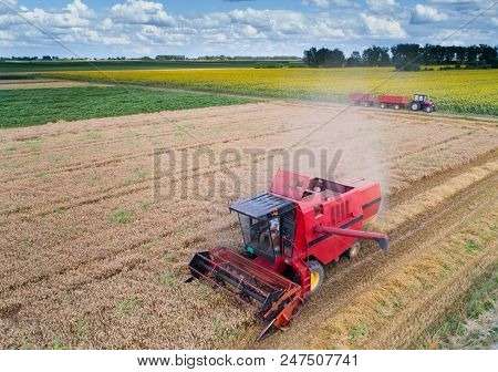 Combine Harvester Working In Wheat Field