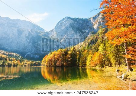 Colorful Autumn Trees On The Shore Of Hinterer Langbathsee Lake In Alps Mountains, Austria.