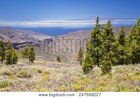 Gran Canaria, View From Las Cumbres, The Highest Areas Of The Island, Towards Teide On Tenerife