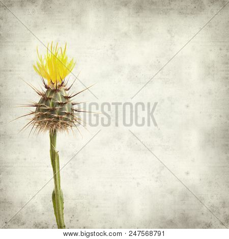 Textured Old Paper Background