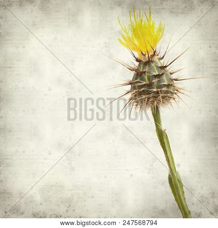 Textured Old Paper Background