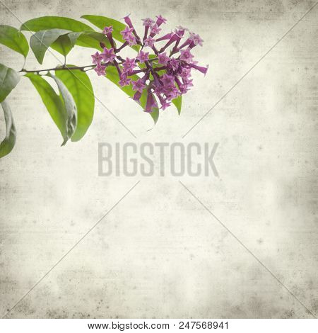 Textured Old Paper Background