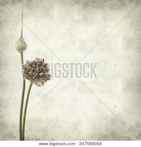Textured Old Paper Background