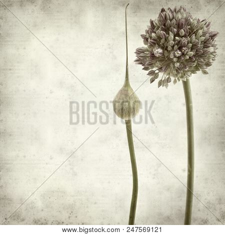 Textured Old Paper Background