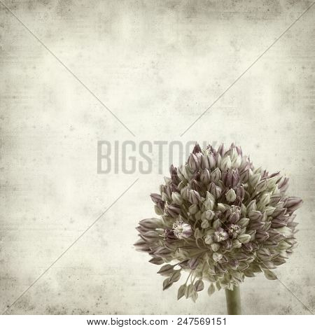 Textured Old Paper Background