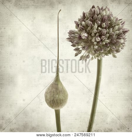Textured Old Paper Background
