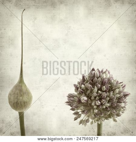 Textured Old Paper Background