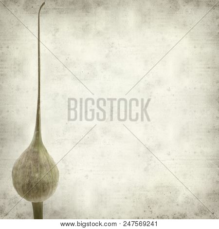 Textured Old Paper Background