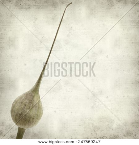 Textured Old Paper Background