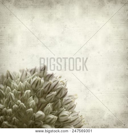 Textured Old Paper Background