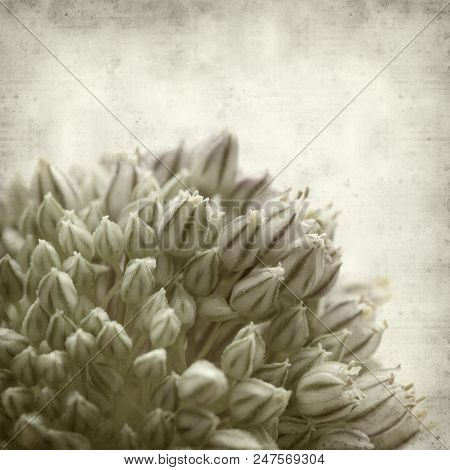Textured Old Paper Background