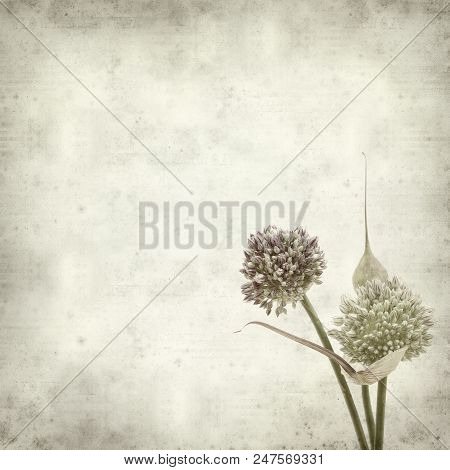 Textured Old Paper Background