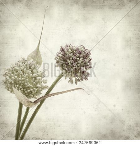 Textured Old Paper Background
