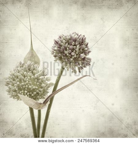 Textured Old Paper Background