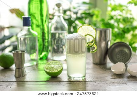 Egg Gin Fizz Cocktail