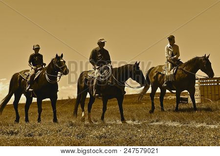 Mud Butte, South Dakota, May 23, 2018: The Annual Roundup And Branding Of Cattle Brings The Area Cow