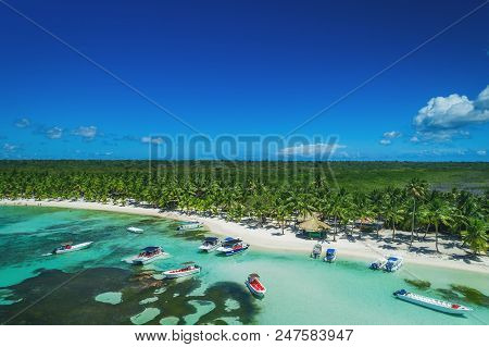 Aerial View Of Tropical Beach, Dominican Republic
