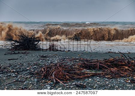 Huge Waves Throw Garbage And Twigs Ashore Pebble Beach Stormy Weather