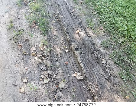 Tire Tracks Or Marks In The Mud Or Dirt