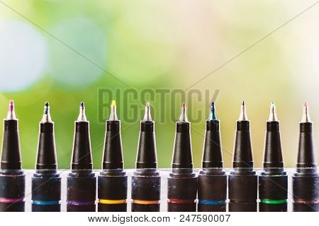 Colour Fine Liner Pen Against Natural Green Background For Office And School Stationary Concept