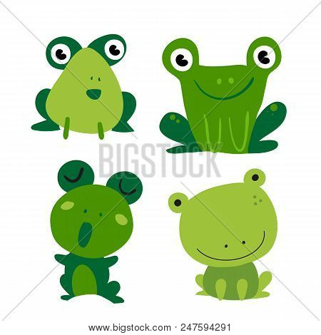 Frogs Vector Collection Design, Frogs Colllection Design
