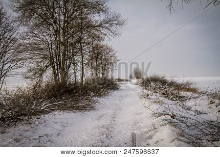 Winter Landscape In The Podlasie Region Of Poland