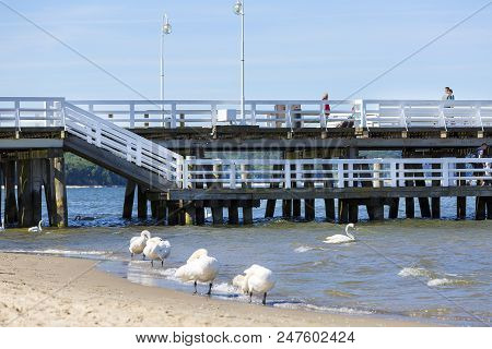 Sopot, Poland - June 6, 2018: Wooden Sopot Pier In Sunny Day. It Is The Longest Wooden Pier In Europ