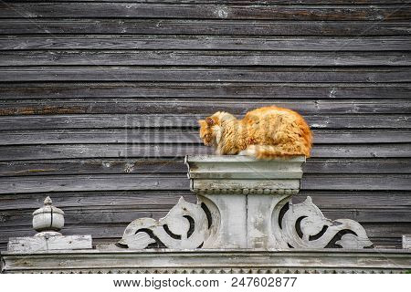 Furry Red Cat On The Background Of A Wooden Old House