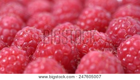 Fresh And Sweet Raspberries Background. Shallow Dof