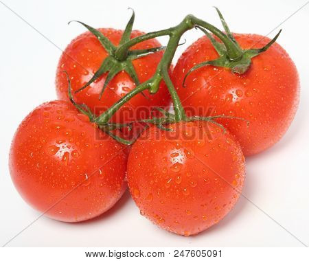 Fresh Organic Tomatoes On White Background. Top View