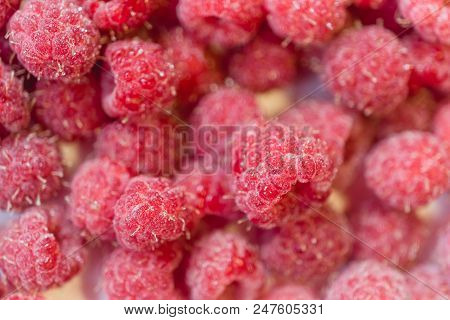 Background Texture Of Raspberry Frozen. Close-up Photo.