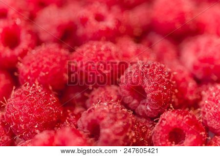 Background Texture Of Dripping Raspberry. Close-up Photo.